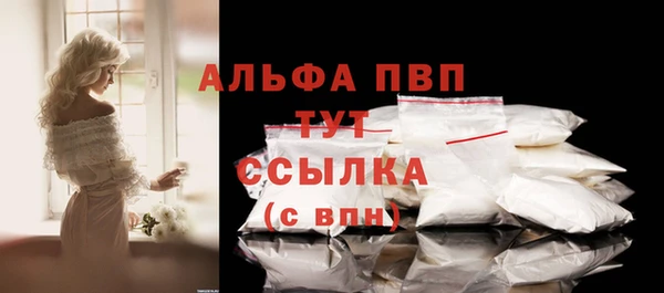 ECSTASY Михайлов