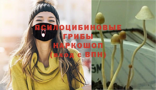 индика Наволоки