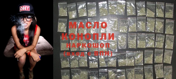 индика Наволоки