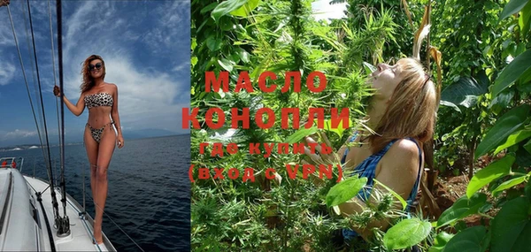 индика Наволоки