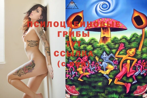 каннабис Менделеевск