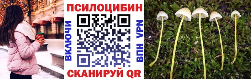 Галлюциногенные грибы Psilocybe  Поронайск 